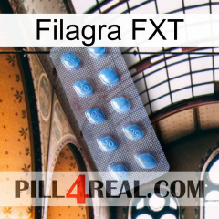 Filagra FXT viagra3